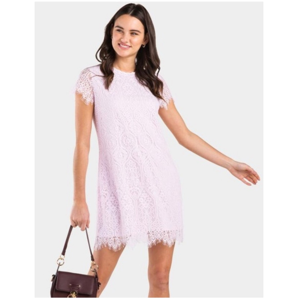 Mi Ami Pale Pink‎ Lace Dress Small